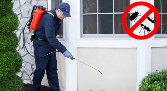 Haliliye Dezenfeksiyon böcek ilaçlama ve haşere kontrolü — ilaclama-tr.com